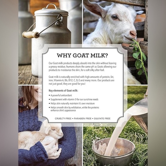 DIONIS GOAT MILK SKINCARE Vanilla Bean HAND CREAM 1 OZ x2 - Picture 2 of 6